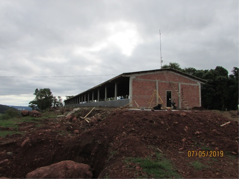 Suinocultura em destaque